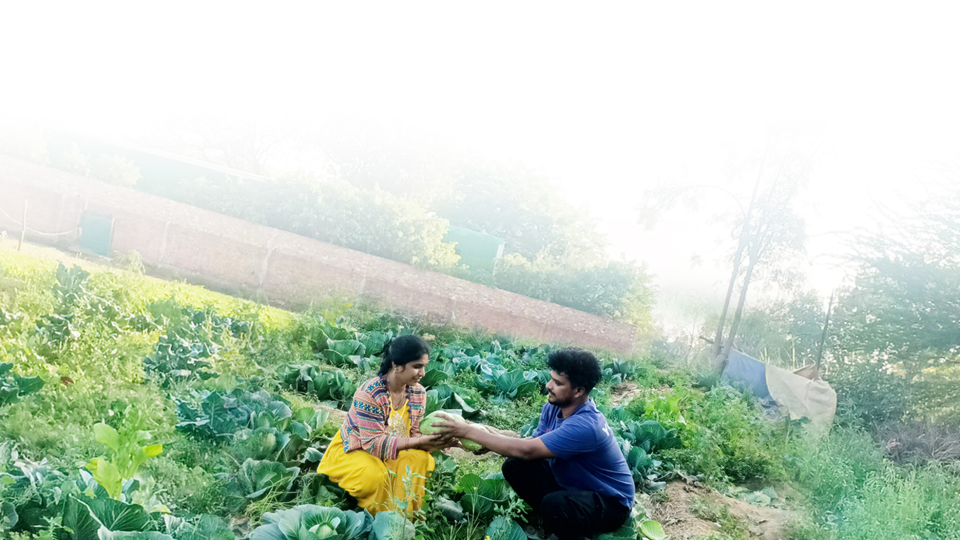 Farm fresh ingredients